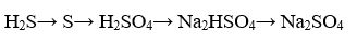 Напишите уравнения реакций, характеризующих генетическую взаимосвязь между веществами в следующей цепочке превращений: H<sub>2</sub>S→ S→ H<sub>2</sub>SO<sub>4</sub>→ Na<sub>2</sub>HSO<sub>4</sub>→ Na<sub>2</sub>SO<sub>4</sub>