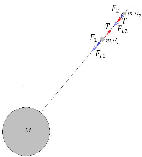 Определить силу натяжения троса, связывающего два спутника массой m каждый, которые обращаются вокруг Земли на расстояниях R<sub>1</sub> и R<sub>2</sub> так, что трос всегда направлен радиально. Масса Земли M.