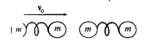 Два шарика с одинаковой массой m соединены невесомой пружиной, жесткость которой k. Эта система, двигаясь со скоростью v<sub>0</sub>, как показано на рис., сталкивается с точно такой же покоящейся системой. Происходит абсолютно упругий центральный удар шариков. Опишите дальнейшее движение систем, считая, что время соударения шариков много меньше периода собственных колебании систем, а длина недеформированной пружины l много больше величины v<sub>0</sub>√m/k