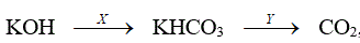 Расшифруйте схему превращений KOH→KHCO<sub>3</sub>→CO<sub>2</sub>, приведите уравнения реакций и назовите вещества Х и Y